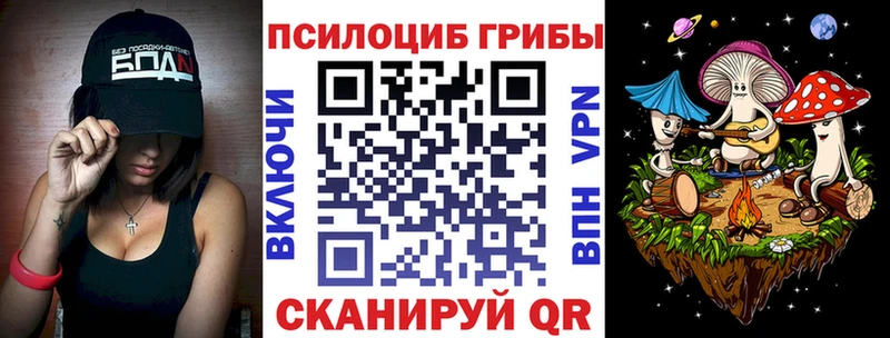 Псилоцибиновые грибы Cubensis Кольчугино